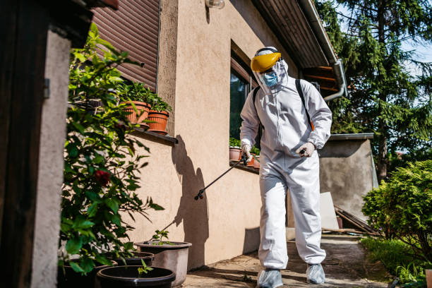 Best Local Pest Control Services  in Logan, OH