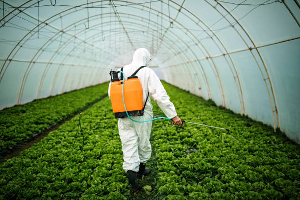 Best Affordable Exterminators  in Logan, OH