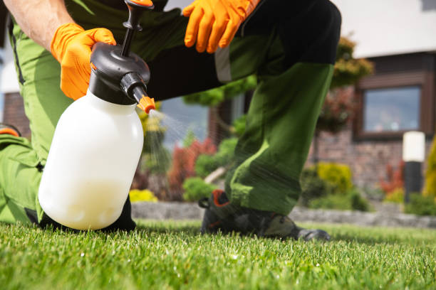 Best Pest Control Treatment  in Logan, OH
