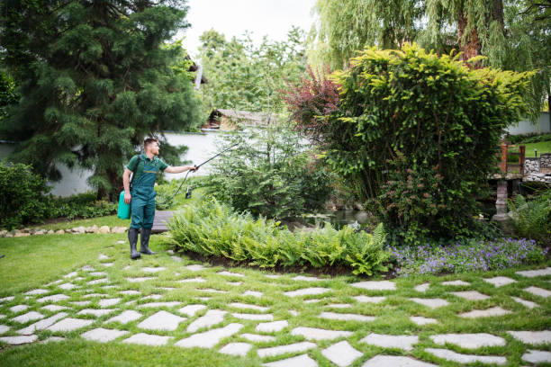 Best Mosquito Control Services  in Logan, OH