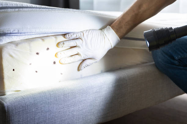 Best Cockroach Control Services  in Logan, OH