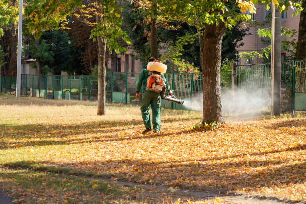 Best Affordable Pest Control Services  in Logan, OH