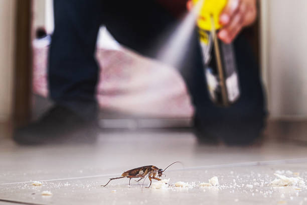 Best Termite Control Services  in Logan, OH
