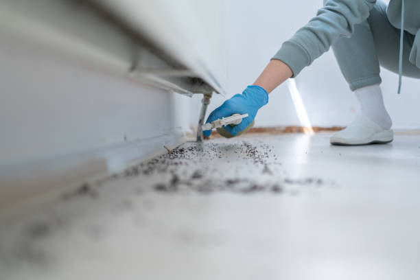 Reliable Logan, OH Pest Control Solutions