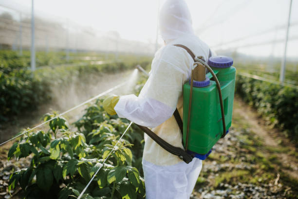 Best Ant Control Services  in Logan, OH